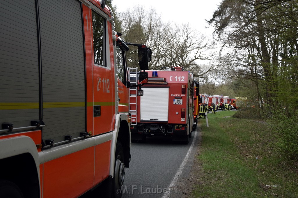 Waldbrand Wahner Heide Troisdorf Eisenweg P243.JPG - Miklos Laubert